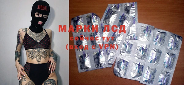 сатива Иннополис