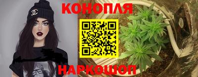 СК Будённовск